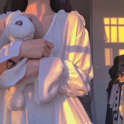 多罗罗2019