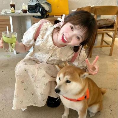 警察与外星人国语
