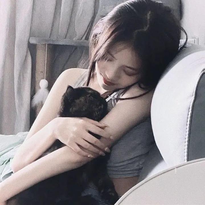 大毛狗